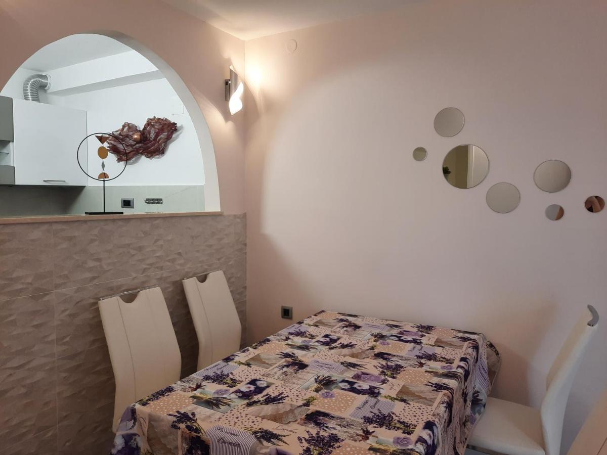 Split Symphony Garden: Modern, New Apartment 外观 照片