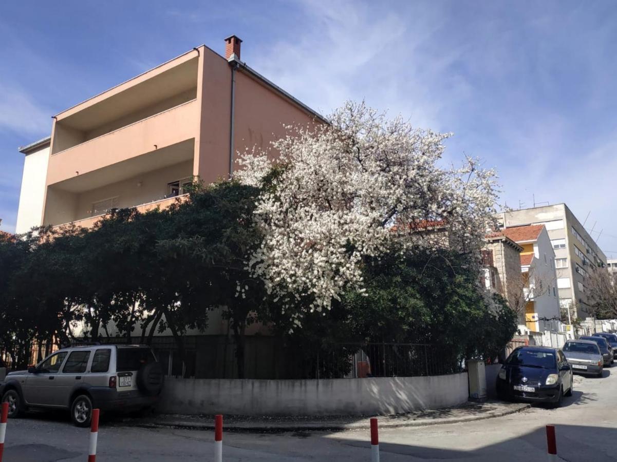 Split Symphony Garden: Modern, New Apartment 外观 照片