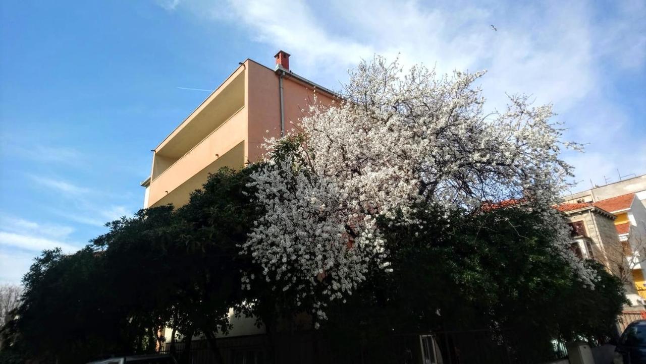 Split Symphony Garden: Modern, New Apartment 外观 照片